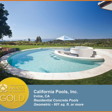2014 APSP International Awards of Excellence