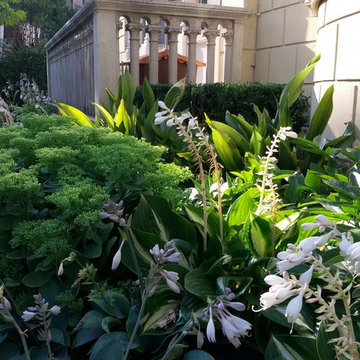 Giardino per una villa Liberty