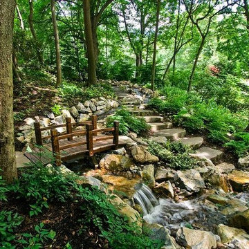 Nature Walk With Bridge (Long Island/NY):