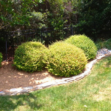 Six Forks Subdivision Project
