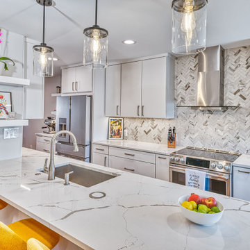 Oakton Contemporary Kitchen Remodel