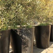 Pots & containers