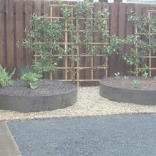 2012 Backyard Landscape