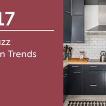 2017 IE Houzz Kitchen Trends Study