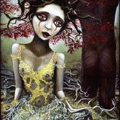 Enzia Farrell's photo