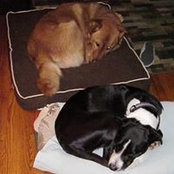 Annie Sarnecki's photo