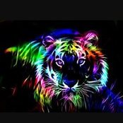 Lynn Holcomb's photo