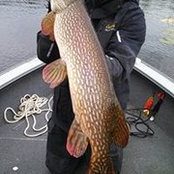 Clint Krueger's photo