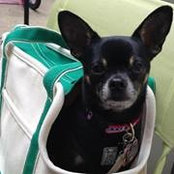 Jen Bush Palkovic's photo