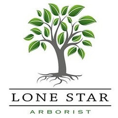 Lone Star Tree