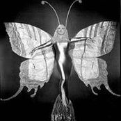 Peggy Feldmeyer's photo
