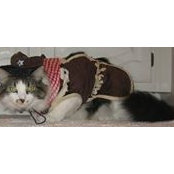 Alyssa Diersing's photo