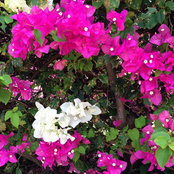 Sandra Mohr's photo