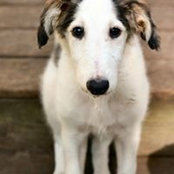 Caryl Dumaine's photo