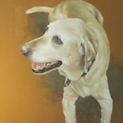 Teresa Lowe's photo