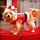 mark_berridge