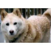Houzz-bruger-ID-64960s billede