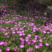 Geraldine Coates's photo