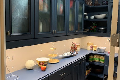 セントルイスにある高級な中くらいなトラディショナルスタイルのおしゃれなキッチン (レイズドパネル扉のキャビネット、青いキャビネット、御影石カウンター、メタリックのキッチンパネル、モザイクタイルのキッチンパネル、濃色無垢フローリング、アイランドなし、茶色い床、黒いキッチンカウンター) の写真