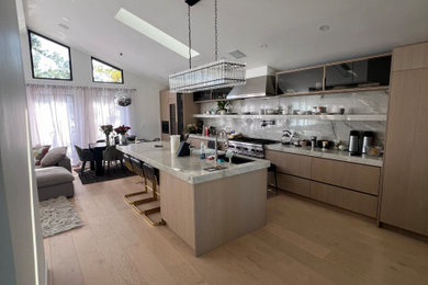 Kitchen - modern kitchen idea in Los Angeles