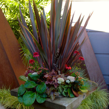Entrance Planter