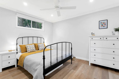 Design ideas for a mid-sized traditional guest bedroom in Adelaide with grey walls, vinyl floors and multi-coloured floor.