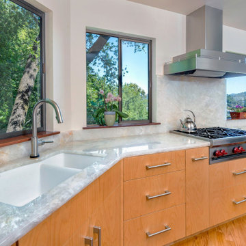 Cristallo Quartzite Kitchen