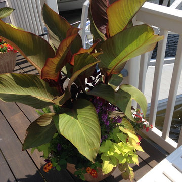 Container Gardens