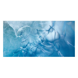 Douglas Page Photographic Arts - Ice Dance, Canvas Giclee - Prints And Posters