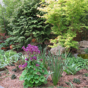 Back Garden, London