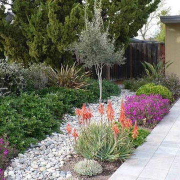 Side Yards