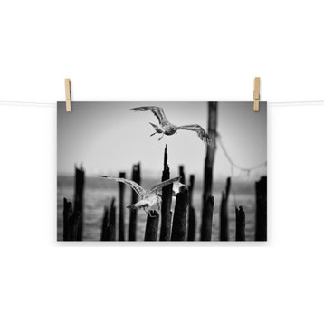 Flying Seagull Black & White Coastal Bird Photo Unframed Wall Art Print, 12" X 18"