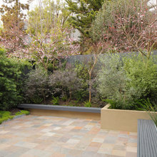Landscape Ideas