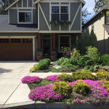 Landscape Ideas