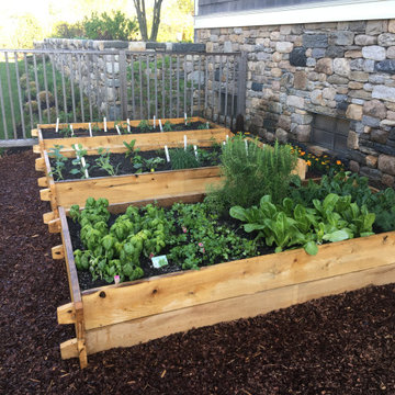 "Raised and Traditional Vegetable Gardens"