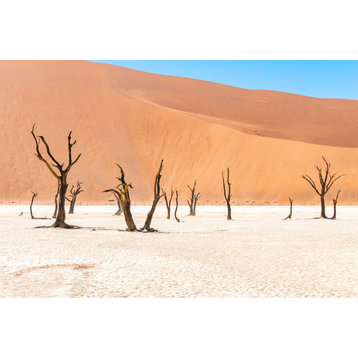 36x24 Namibian Skeleton Trees XV, Unframed Artwork