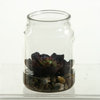 D&W Silks Echeveria Plant Succulent in Candle Jar