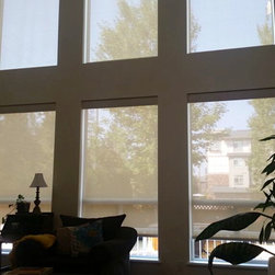 Lutron Battery Powered Shades - Roller Shades
