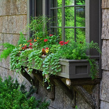 Sun City Landscaping