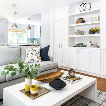Casual Classic Remodel