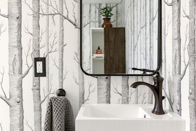 Example of a classic powder room design in Minneapolis