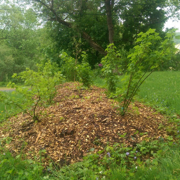 Norwich VT Orchard