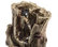 11" Tall Indoor Rainforest Tabletop Fountain with LED Lights