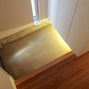 Idéer för att renovera en eklektisk hall, med vita väggar, plywoodgolv, en enkeldörr, mörk trädörr och brunt golv