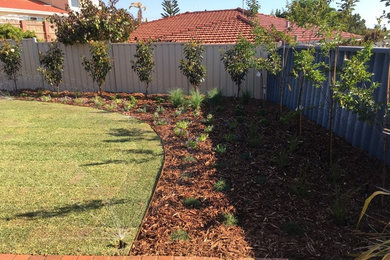 Photo of a traditional backyard formal garden in Perth with mulch.