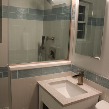 Small Bathroom Renovation / 2014 - Arlington, VA