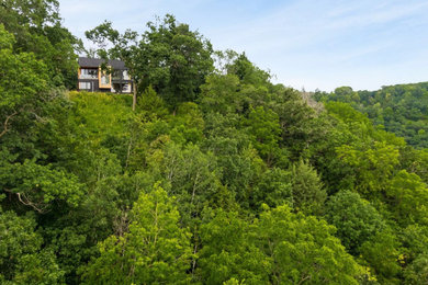 Home design - contemporary home design idea in Minneapolis