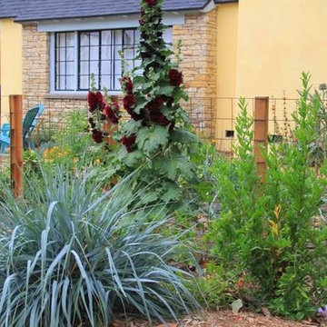 Edible Landscape and xeriscape