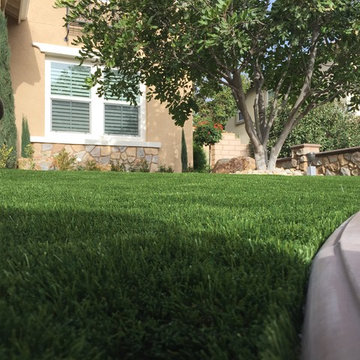 Eco Olive 80 in Corona, CA