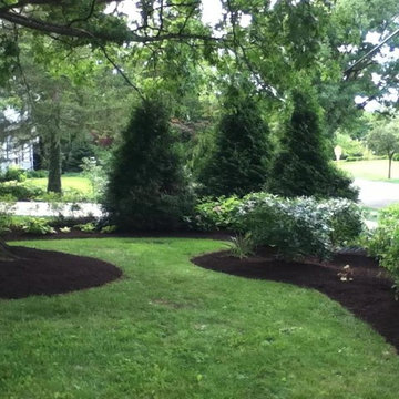 Front Yard Landscaping